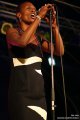 IMG_3245a.jpg