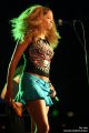 IMG_2884a.jpg