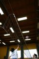 IMG_8290.jpg