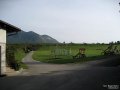 IMG_3290.jpg