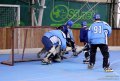 IMG_5890.jpg
