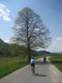 IMG_7369.jpg
