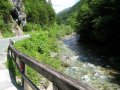 IMG_7601.jpg