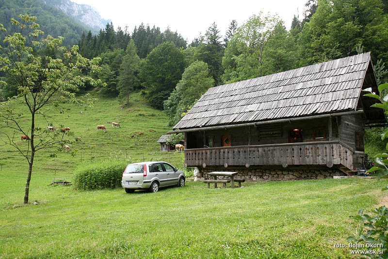 100_IMG_0963.jpg