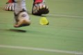 DSC01262.jpg