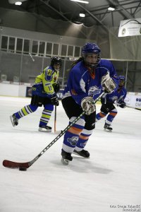 Hokej - HK Triglav vs Neuberg Higlanders