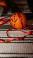 DSC05627.jpg