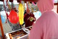 IMG_7941.jpg