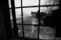 IMG_4592.jpg