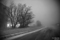 IMG_4619.jpg