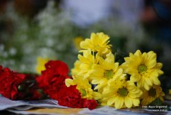 Ustavrjalna delavnica: Cvetlični aranžmaji