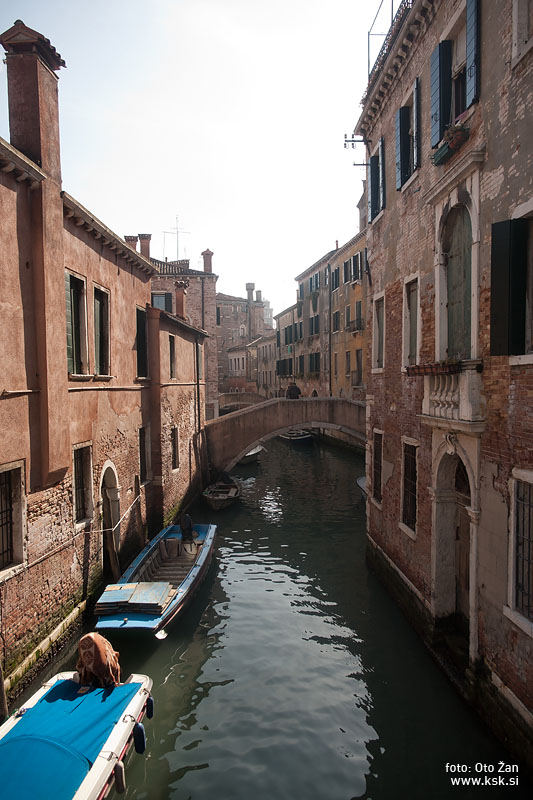 _MG_9581.jpg