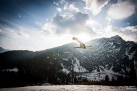 Planica2014_0244_140322_GV.jpg