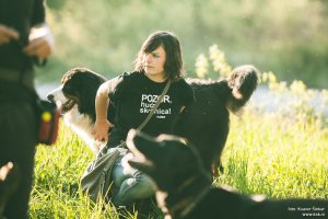 Svetovni dan veterinarjev - nega in vzgoja psov