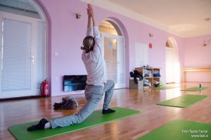 Izvorna joga za vitalnost