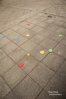 IMG_8415 copy 2