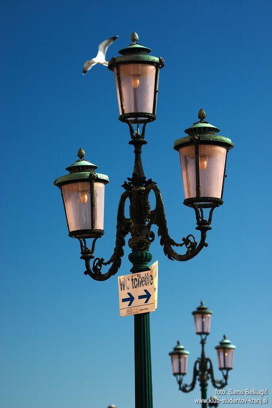 242_4243.jpg