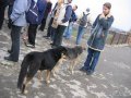IMG_1784.jpg