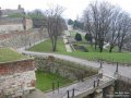 IMG_1786.jpg