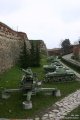 IMG_0050.jpg